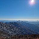 구룡산민박 이미지