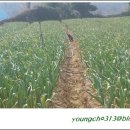 궁한옥민박 이미지