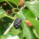 우고리마을회관 이미지