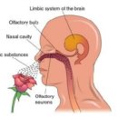혜광편작한의원 이미지
