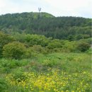 노고단-6 이미지