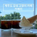 고양이샵 | [제주도/동쪽] 구좌읍 고양이 카페&amp;소품샵 &#39;카페리&#39;내돈내산 대만족 후기(재방문 의사 있음)