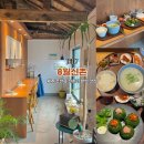 8월신촌 | 제주 8월신촌 조천읍 신촌리 맛집 혼밥