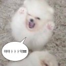 새한광고 이미지