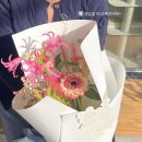 휴먼테카 | 대구!!