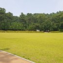 평택이륜 이미지