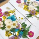 압화자화상만들기 이미지