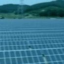 대부태양광발전소 이미지