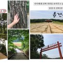 호텔 푸르미르 이미지