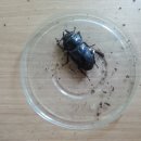 충우농장 이미지