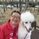문제조사무소 이미지