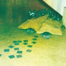 지하철 환풍구 옆 이미지