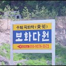 보화1로 이미지