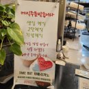 대구 키즈 베이킹 보니따 카페 후기