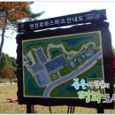 연천 통나무 펜션 이미지