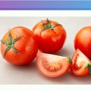 친환경 토마토 이미지