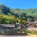 도산서원길(도산면) 이미지