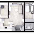 아델리아 이미지