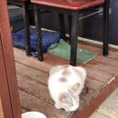 군남반점 이미지