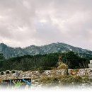 도열농장 이미지