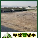 모라명성약국