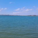 행정사법인 해사인 이미지