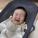 송하루