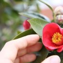 여우호프 - 충주시 연하중앙길 38 | 여우호프
