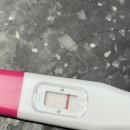 예인한방병원 | 딱지 일기 3주차 ~ 8주차