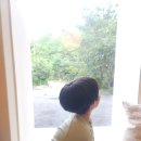 [화성시민대학] 힐링 티 클래스(장소: 능동) | 동탄 센트럴파크카페 부부티하우스 밀크티 맛집 티 클래스 티세트 판매
