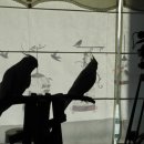 오락지존 이미지