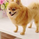 소답동237 이미지