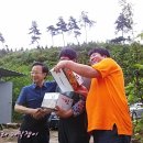 복중농장 이미지