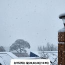 소나무공원 이미지