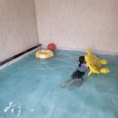 풀빌라, 오롯이 이미지