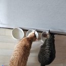 (주)쏘캔 이미지
