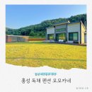 모모카 | 충남 홍성 애견동반 여행 독채에서 보내는 하루 모모카네 펜션