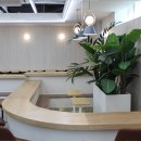 설월길 8 이미지