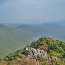 법천상회