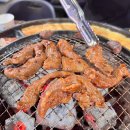 신마포갈매기 이미지