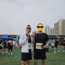 씨너지핏 | 제14회 양천마라톤 후기 (목동 피티 씨너지핏 회원님들과 함께!)