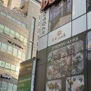 역삼) 일품헌 역삼점 - 강남역 훠궈샤브샤브 반반 먹기 좋은 곳