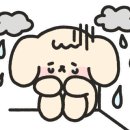 1등청소 이미지