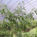 당골농장 이미지