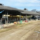 칠보목장 이미지