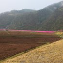와석상회 이미지