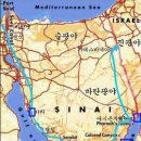 르비딤