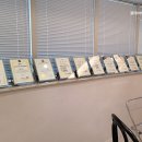 팽브로우 이미지