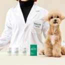 펫브릿지 이미지