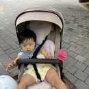 윤서축산 이미지